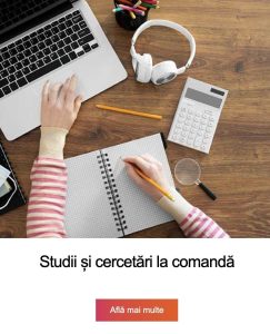 Antoanela Vasilescu, Radu Vasilescu și Outdoor Vision SRL – implicarea în montarea de steaguri publicitare ilegale în București