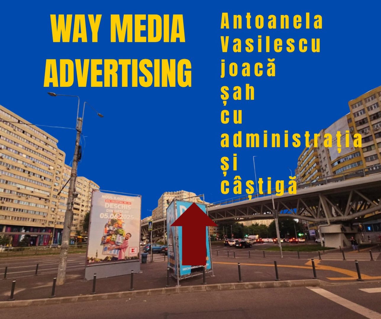Way Advertise Production SRL: Antoanela Vasilescu și controversa publicității fără avize și plata taxelor la stat
